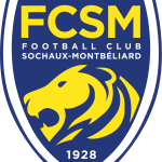 索肖队标